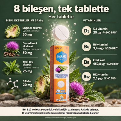 Caganıc Nano - Enginar ve Devedikeni İçeren Efervasan Tablet