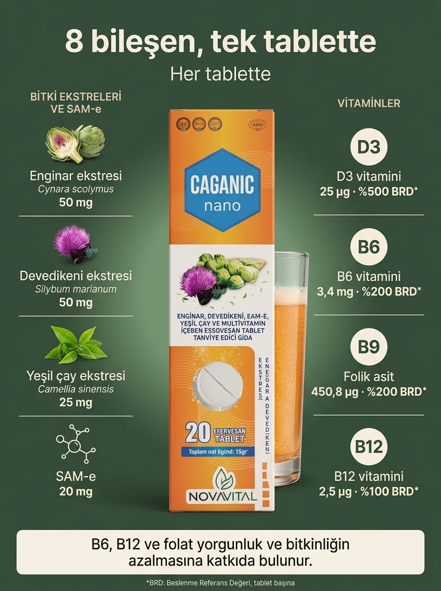 Caganıc Nano - Enginar ve Devedikeni İçeren Efervasan Tablet